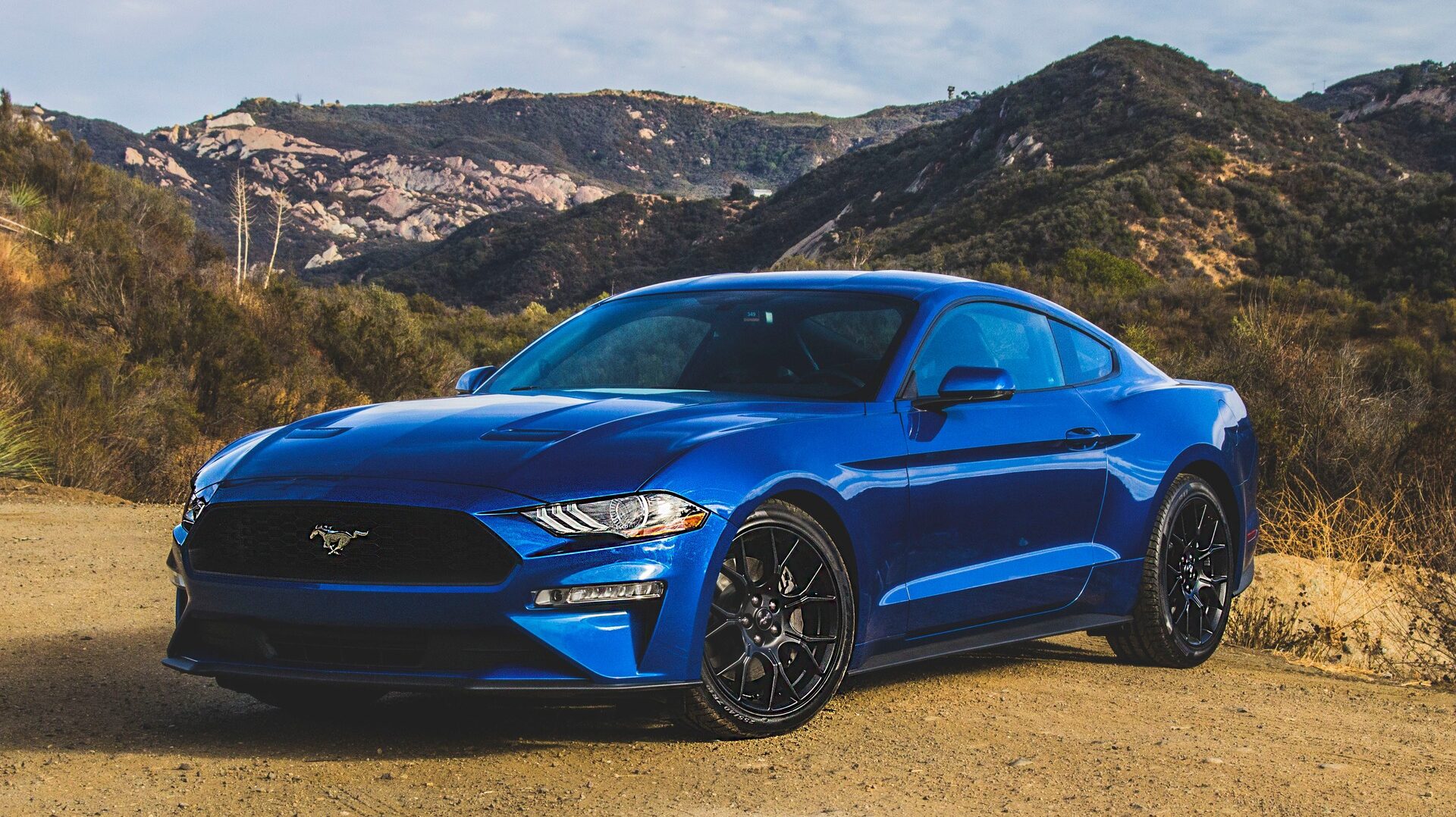 Cofinancement d'une Mustang 5.0 V8
